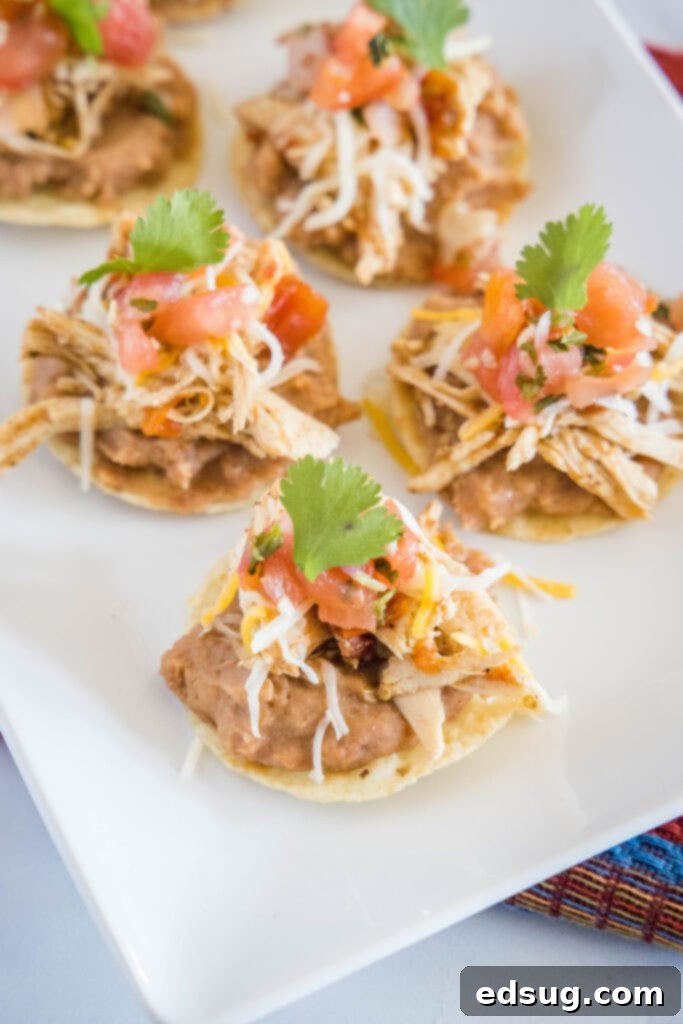 A beautifully arranged platter of mini tostadas, showcasing their vibrant colors and irresistible appetizer appeal.