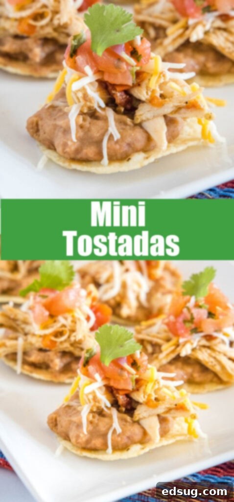 A close-up view of mini chicken tostadas on a pristine white plate, showcasing the appealing layers and textures.