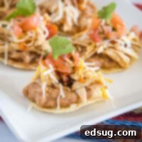 mini tostada bites on a white plate