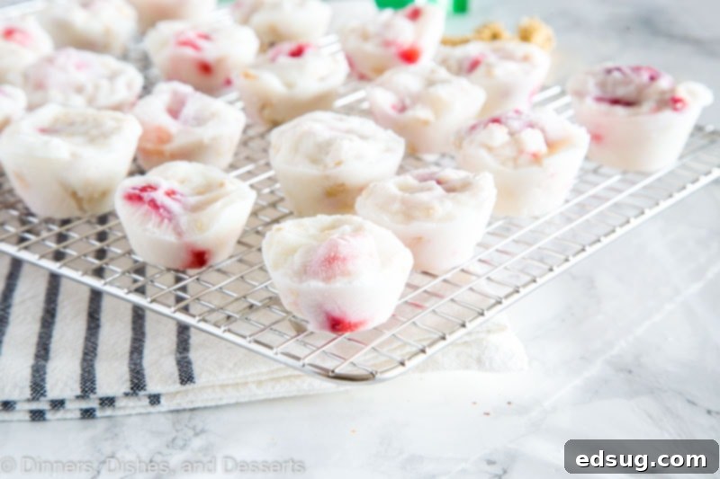 Homemade Frozen Yogurt Cups 5 A close-up view of a perfectly frozen yogurt cup, showcasing the creamy texture and embedded fruit.