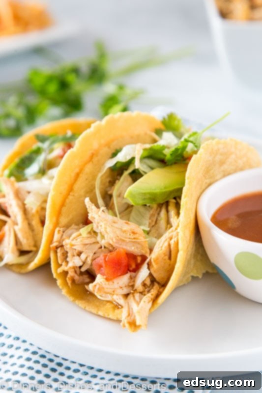 Quick Instant Pot Chicken Tacos 3 chicken in tortillas on a plate