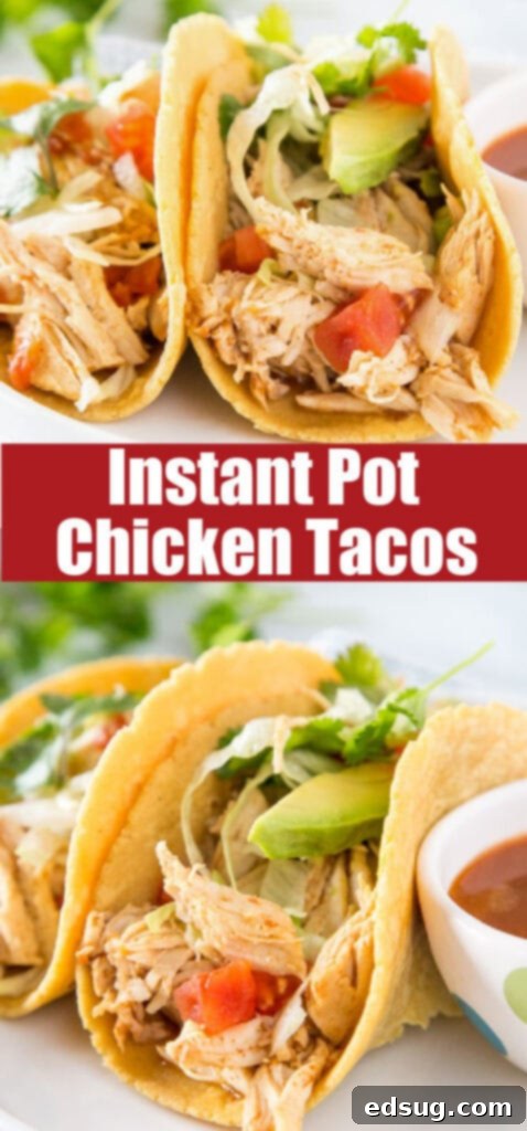 Quick Instant Pot Chicken Tacos 6 instant pot chicken in tortillas