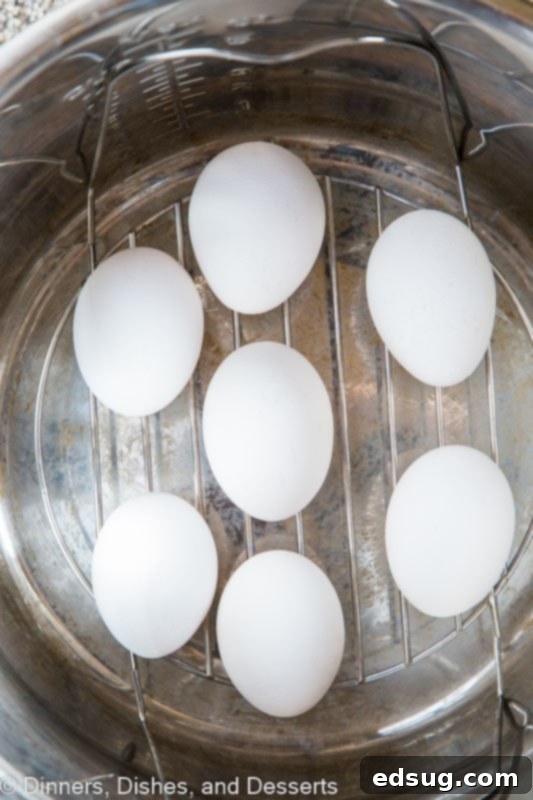A close-up of raw eggs arranged neatly on a metal trivet inside an Instant Pot, ready for pressure cooking.
