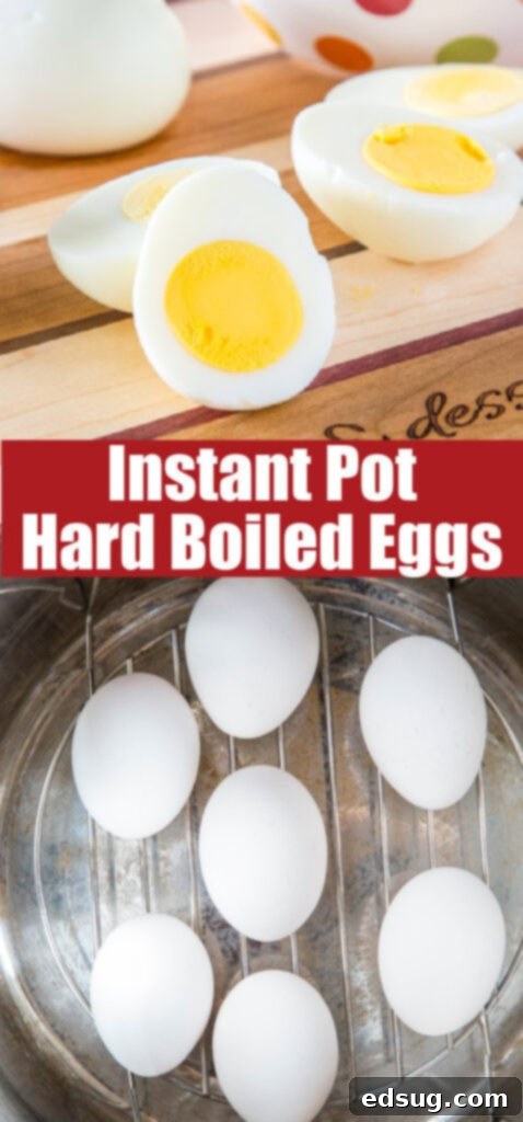 A close-up of beautifully sliced hard-boiled eggs with bright orange yolks, garnished with fresh dill.