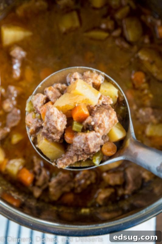 Hearty Instant Pot Beef Stew 3 A bowl of food with stew, with Beef and Dinner