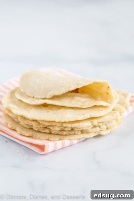 Corn tortillas folded over, showcasing their perfect texture and golden hue, ready for a delicious filling.