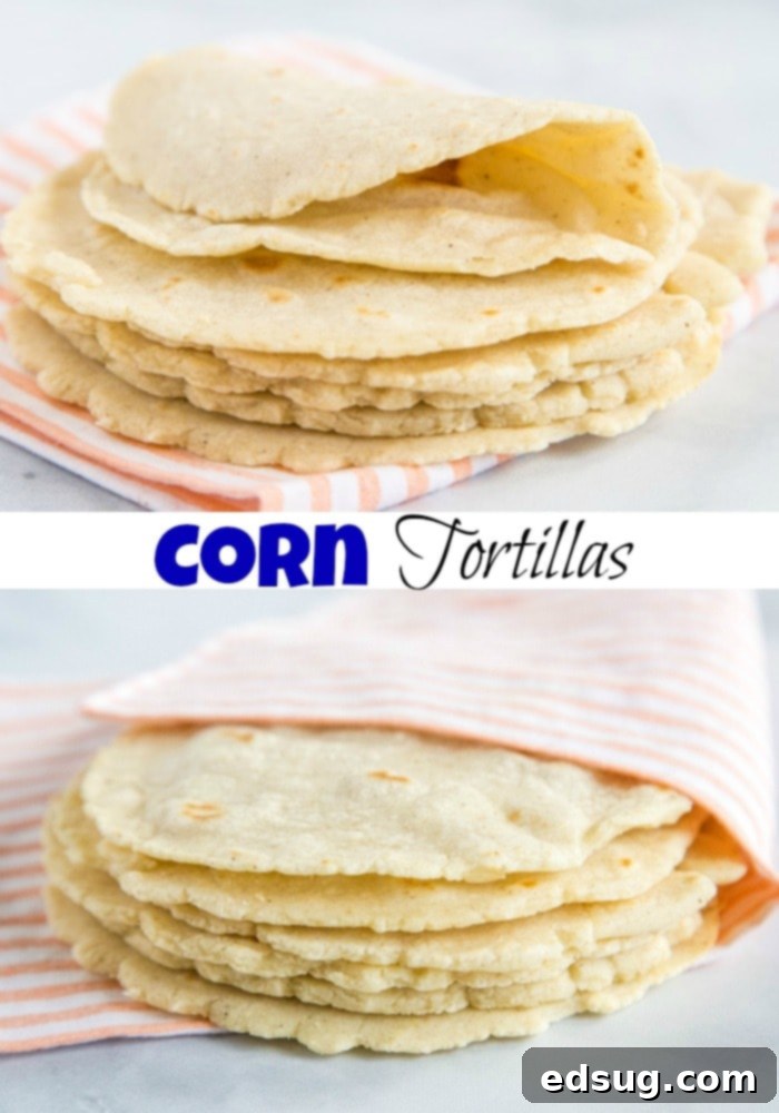 An appetizing close-up of a homemade corn tortilla, hinting at the delightful experience of fresh, simple Mexican cuisine.