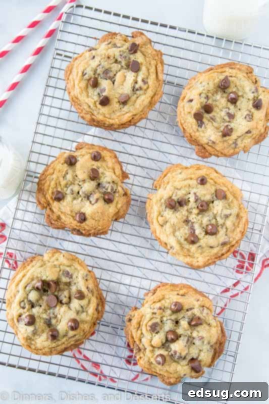 Doubletree cookies on wire rack from the top