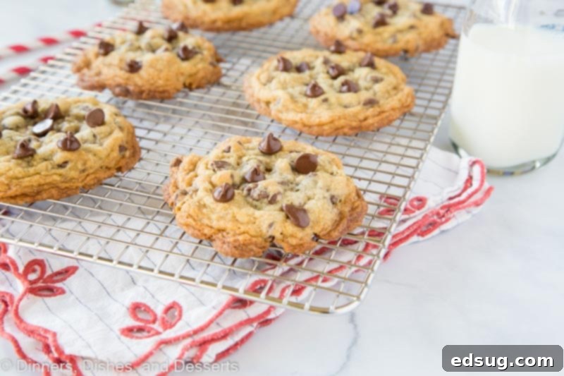 doubletree cookies horiztonal image on wire rack