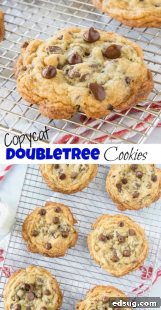 Double Tree Chocolate Chip Cookies - Make the same giant, fresh, warm cookies you get at the DoubleTree hotel at home!Â  Loaded with chocolate and so good!Â Â 