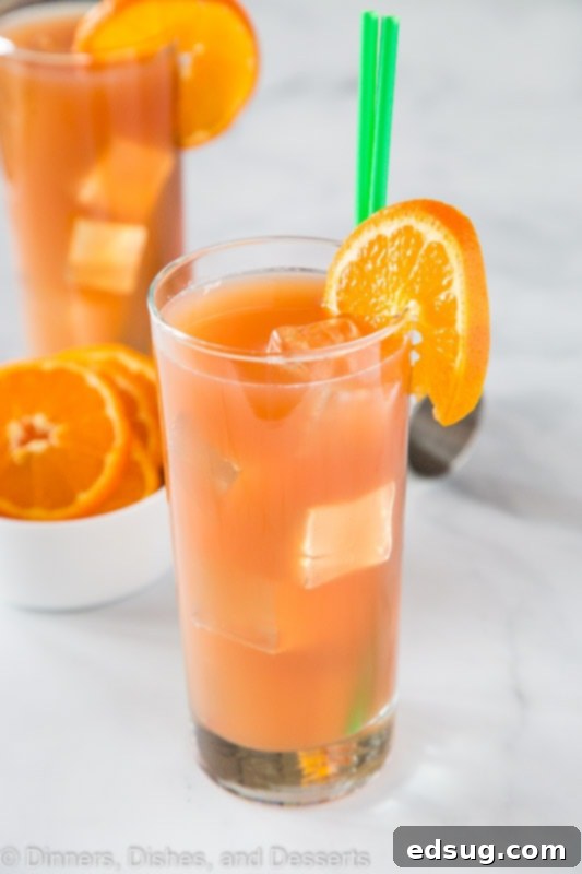 The Ultimate Beach Fling Cocktail 4 sex on the beach drink recipe with 2 glasses