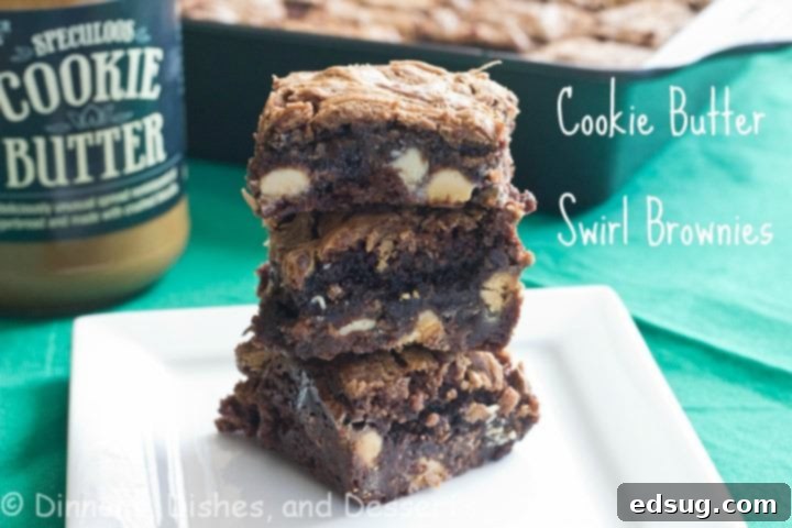 Cookie Butter Swirl Brownies Rich Cookie Butter Swirl Brownies with White Chocolate Chips