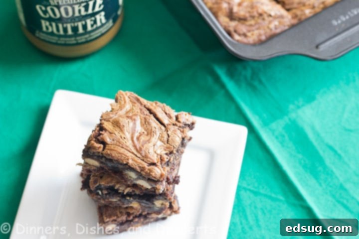Cookie Butter Swirl Brownies  Close-up of Cookie Butter Swirl Brownies with White Chocolate