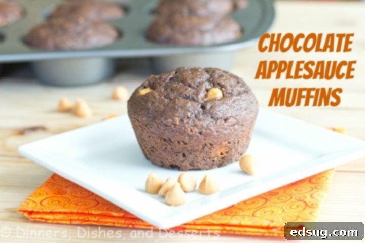 Delicious Chocolate Applesauce Muffins with peanut butter chips, served on a plate for breakfast