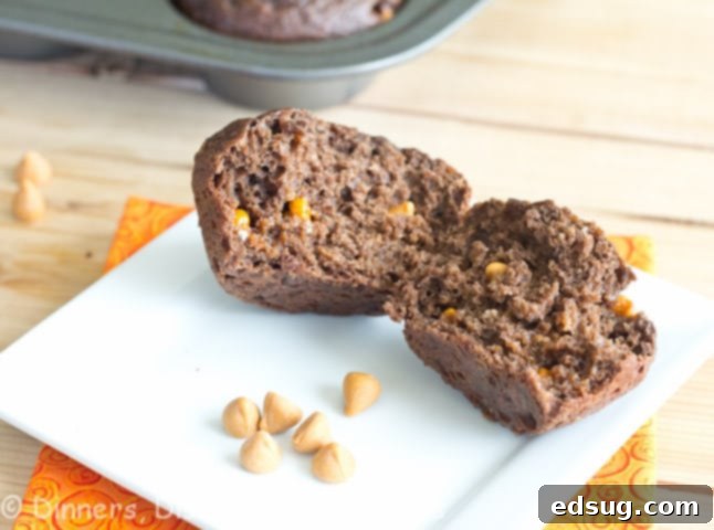Close-up of a perfectly baked chocolate applesauce muffin with visible chocolate chips, sitting on a rustic wooden plate