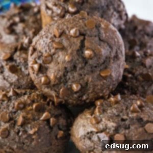 cropped close up chocolate applesauce muffins on a serving platter