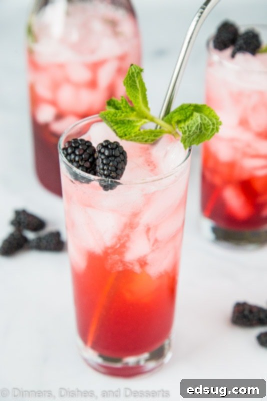 black berry lime punch from top, close up