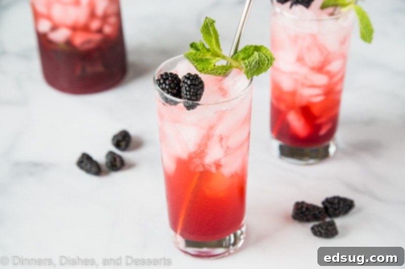 Blackberry punch horizontal picture