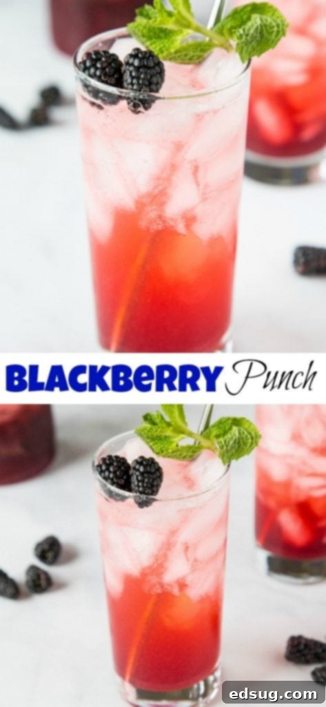 Blackberry Lime Punch - use those fresh blackberries to make a super easy and refreshing punch!Â  Great for parties or just to have in the fridge.Â 