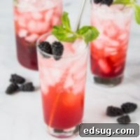 Blackberry Lime Punch - use those fresh blackberries to make a super easy and refreshing punch!  Great for parties or just to have in the fridge. 