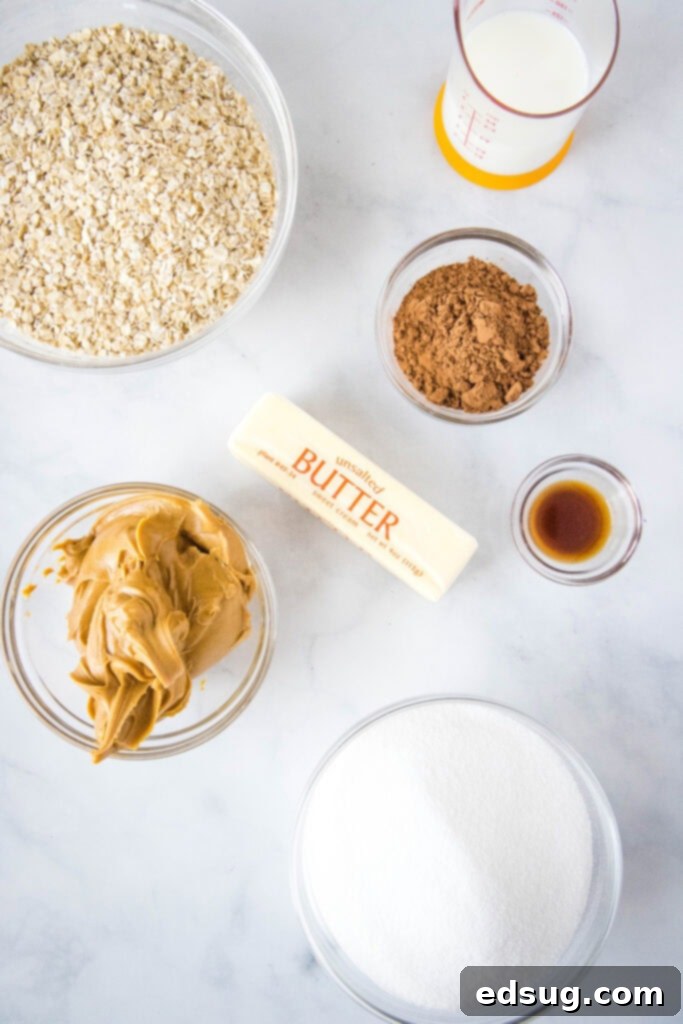 Ingredients for no bake cookies laid out on a kitchen counter, including oats, peanut butter, cocoa, sugar, butter, milk, and vanilla extract.