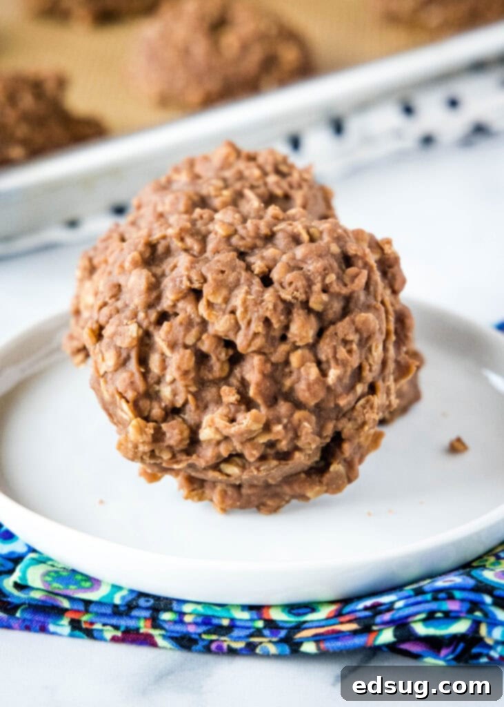 Finished no bake cookies on a white plate, showcasing their rich color and chewy texture.