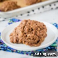 cropped close up of no bake cookies on a white plate