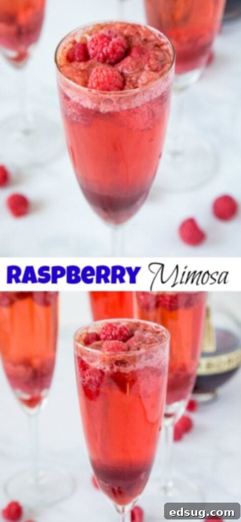 A close up of a glass of wine on a table, with Raspberry and Mimosa