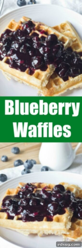 Fluffy Blueberry Waffles 2 Blueberry Waffles - delicious light, fluffy golden waffles that are loaded with blueberries! A great breakfast for the whole family. Made even better topped with a blueberry sauce!