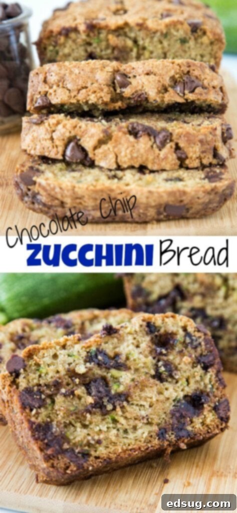 Chocolate Chip Zucchini Bread - soft and tender zucchini bread with hints of cinnamon and plenty of chocolate chips!Â Â 