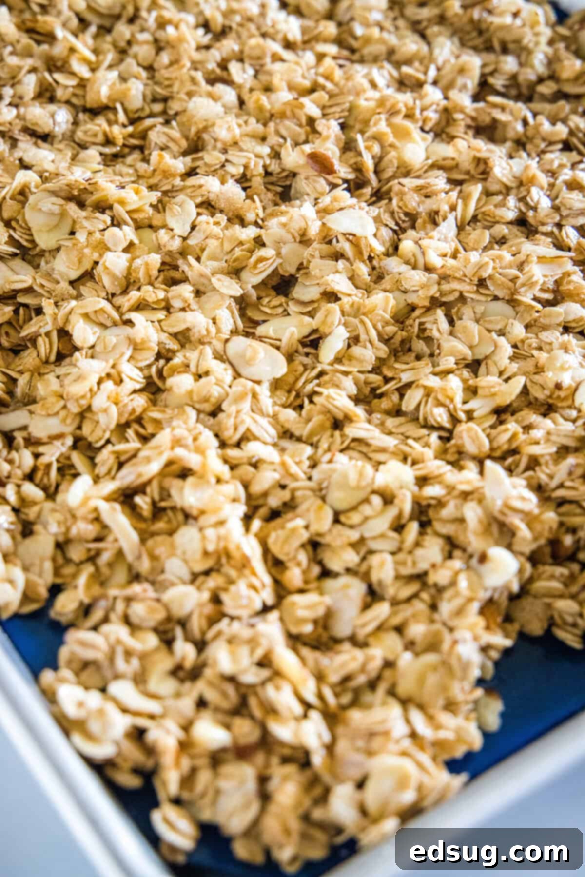 Classic Vanilla Granola 3 Vanilla almond granola spread out evenly on a baking sheet, ready for the oven
