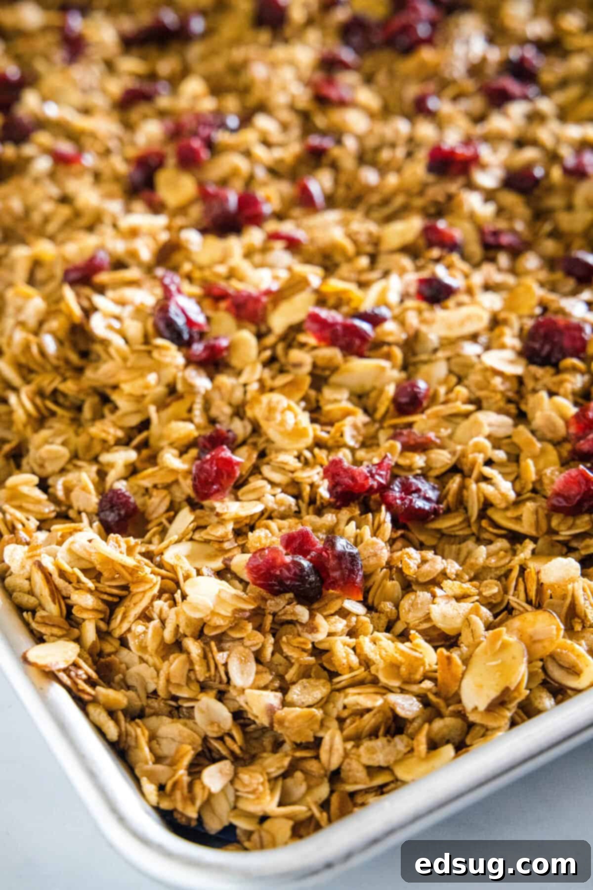 Baked Vanilla Almond Granola Freshly baked vanilla almond granola, golden brown and garnished with vibrant red dried cranberries, in a glass jar