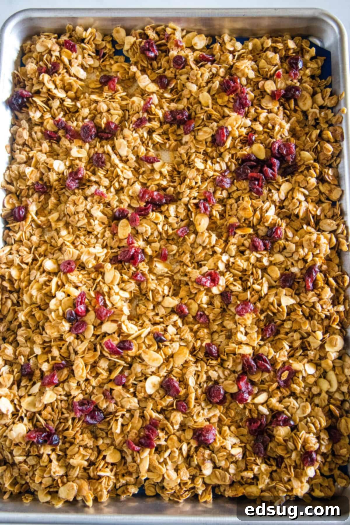 Vanilla Almond Granola on Baking Sheet A baking sheet filled with perfectly golden brown vanilla almond granola, freshly baked