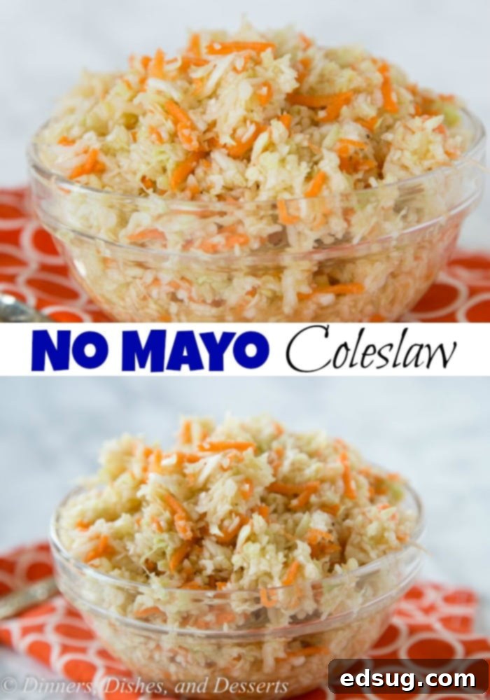 Summer Coleslaw - light and tangy  no mayo coleslaw recipe that you can make all summer long! 