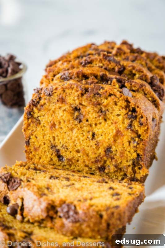 Ultimate Chocolate Chip Pumpkin Bread 2 Moist Chocolate Chip Pumpkin Bread with warm fall spices