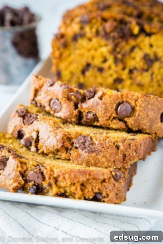 Ultimate Chocolate Chip Pumpkin Bread 3 Close up of pumpkin bread batter with lots of chocolate chips before baking