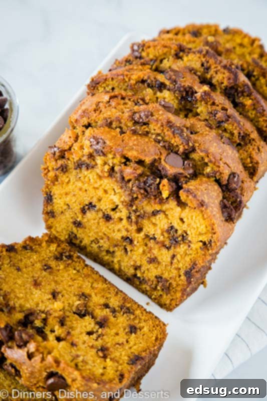 Ultimate Chocolate Chip Pumpkin Bread 4 Moist and tender chocolate chip pumpkin bread slices on a cooling rack
