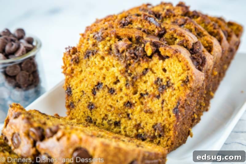 Ultimate Chocolate Chip Pumpkin Bread 5 Easy pumpkin bread loaded with chocolate chips, sliced and ready to serve