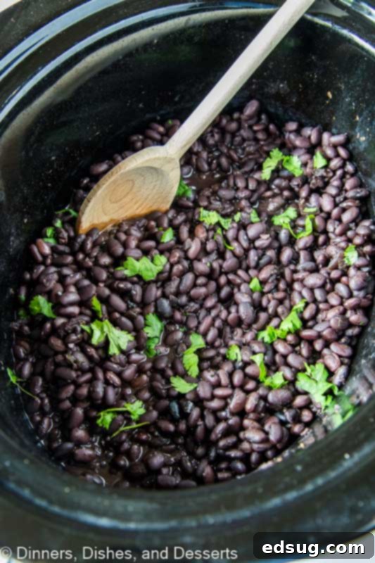 Effortless Slow Cooker Black Beans 3 Crock Pot Black Beans are seasoned to perfection and so easy to make