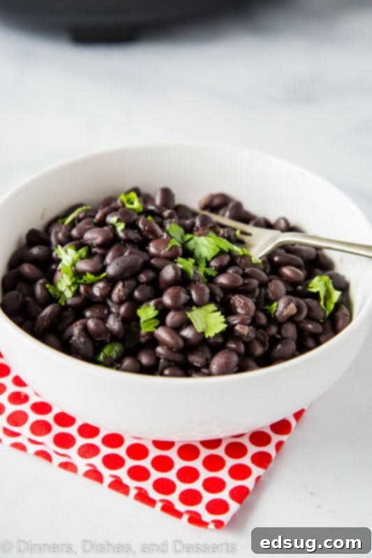Effortless Slow Cooker Black Beans 4 Use dried beans in the crock pot to make the best side dish! Slow Cooker Black Beans are quick and easy.