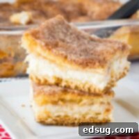 Cinnamon Sugar Sopapilla Cheesecake Bars 5 img 28333 4