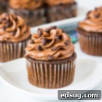 A large chocolate cupcake on a plate