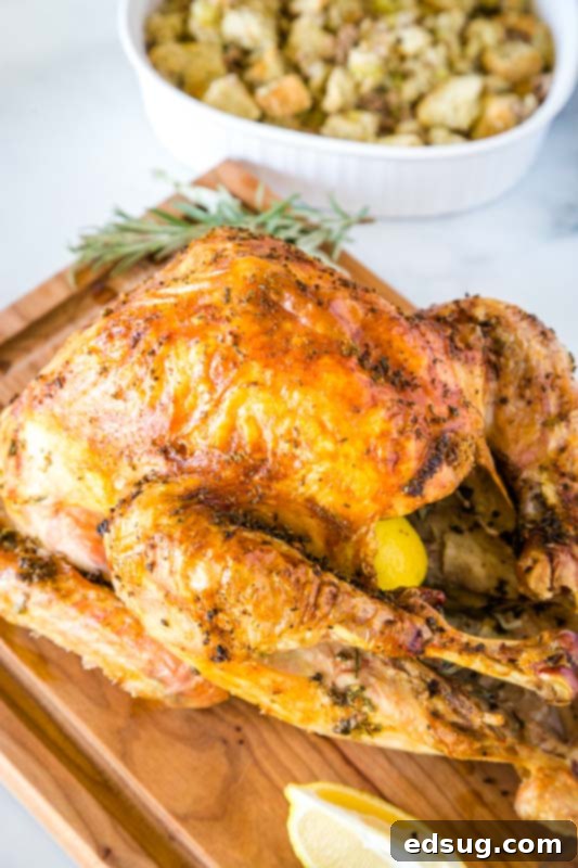The Ultimate Roast Turkey 2 Perfect Roasted Turkey with fresh herbs and a crispy skin