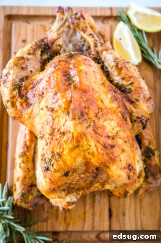 The Ultimate Roast Turkey 3 Easy Thanksgiving Turkey recipe with a crispy skin and fresh herbs