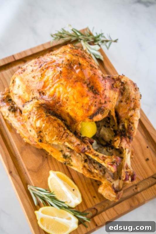 The Ultimate Roast Turkey 5 Crispy golden skin makes for the perfect Thanskgiving turkey!