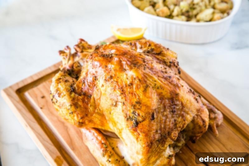 The Ultimate Roast Turkey 6 Roasted Turkey Recipe - Get the perfect oven roasted turkey for your holiday table with this simple and delicious recipe. The meat stays juicy and tender every time!