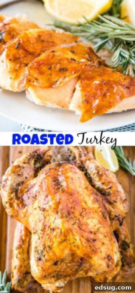 The Ultimate Roast Turkey 7 A plate of turkey, with Leftovers