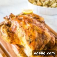 The Ultimate Roast Turkey 8 A close up of a plate with a whole roasted turkey with Dinner