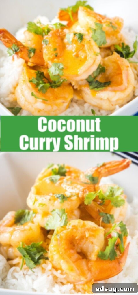 Tropical Coconut Curry Shrimp 5 coconut curry shrimp close up