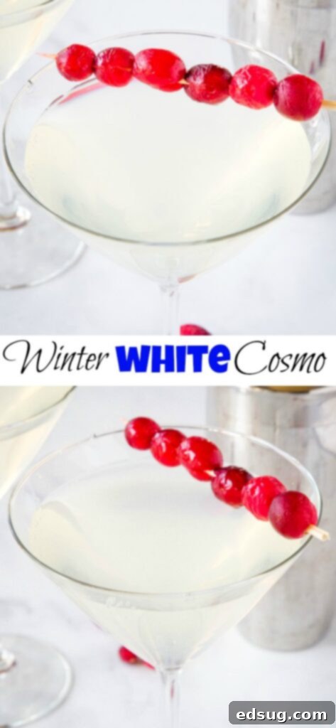 Close-up of a beautifully garnished glass of Winter White Cosmo, highlighting its clear color and fresh cranberry accent.
